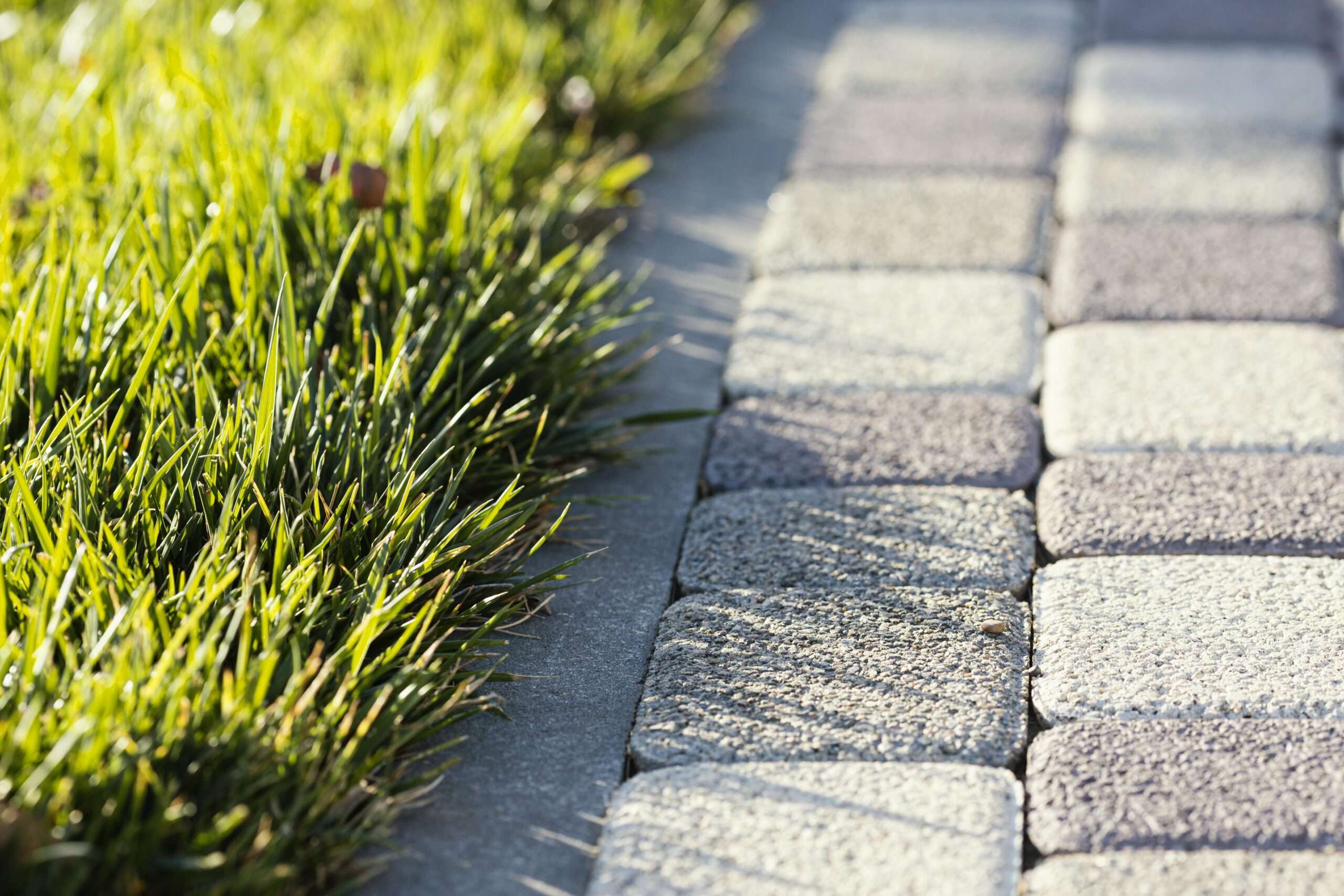 natural-grass-close-up